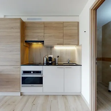 Furnished Studio #502 - Swiss 公寓 *